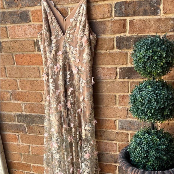 Dress the Population Blush Floral Embroidered Tulle Long Dress - Picture 15 of 16